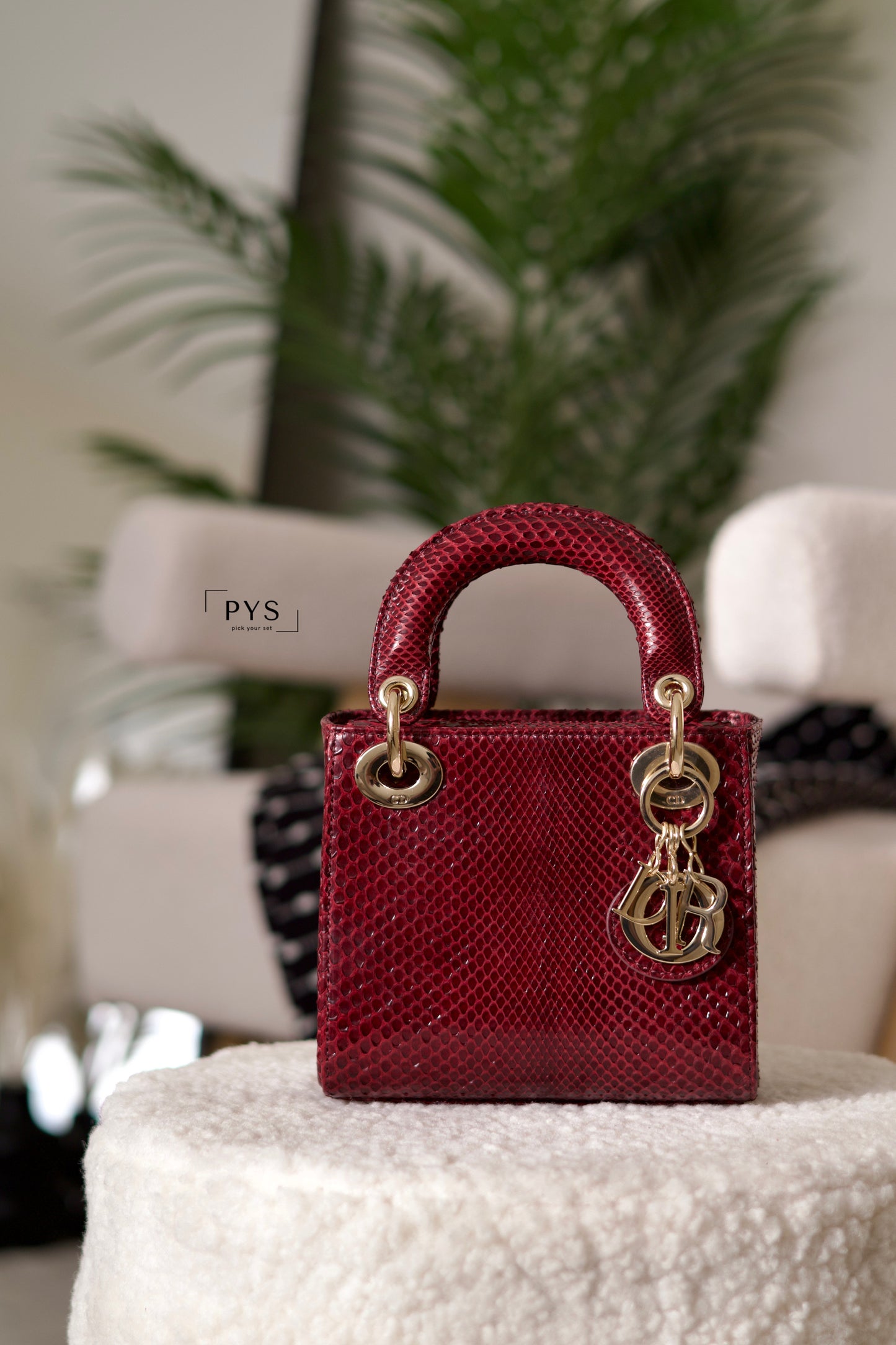 Python Lady Dior Mini