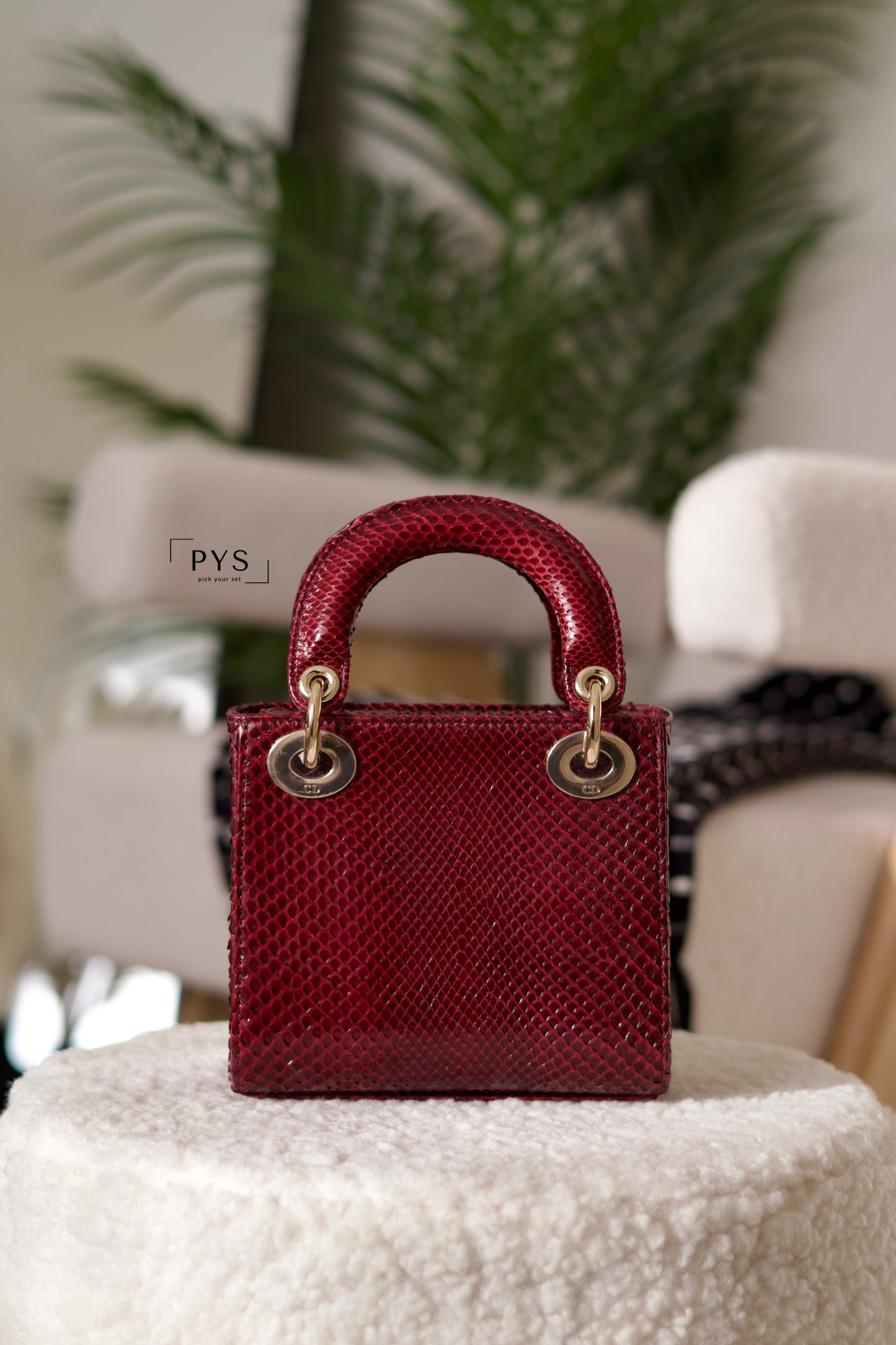 Python Lady Dior Mini