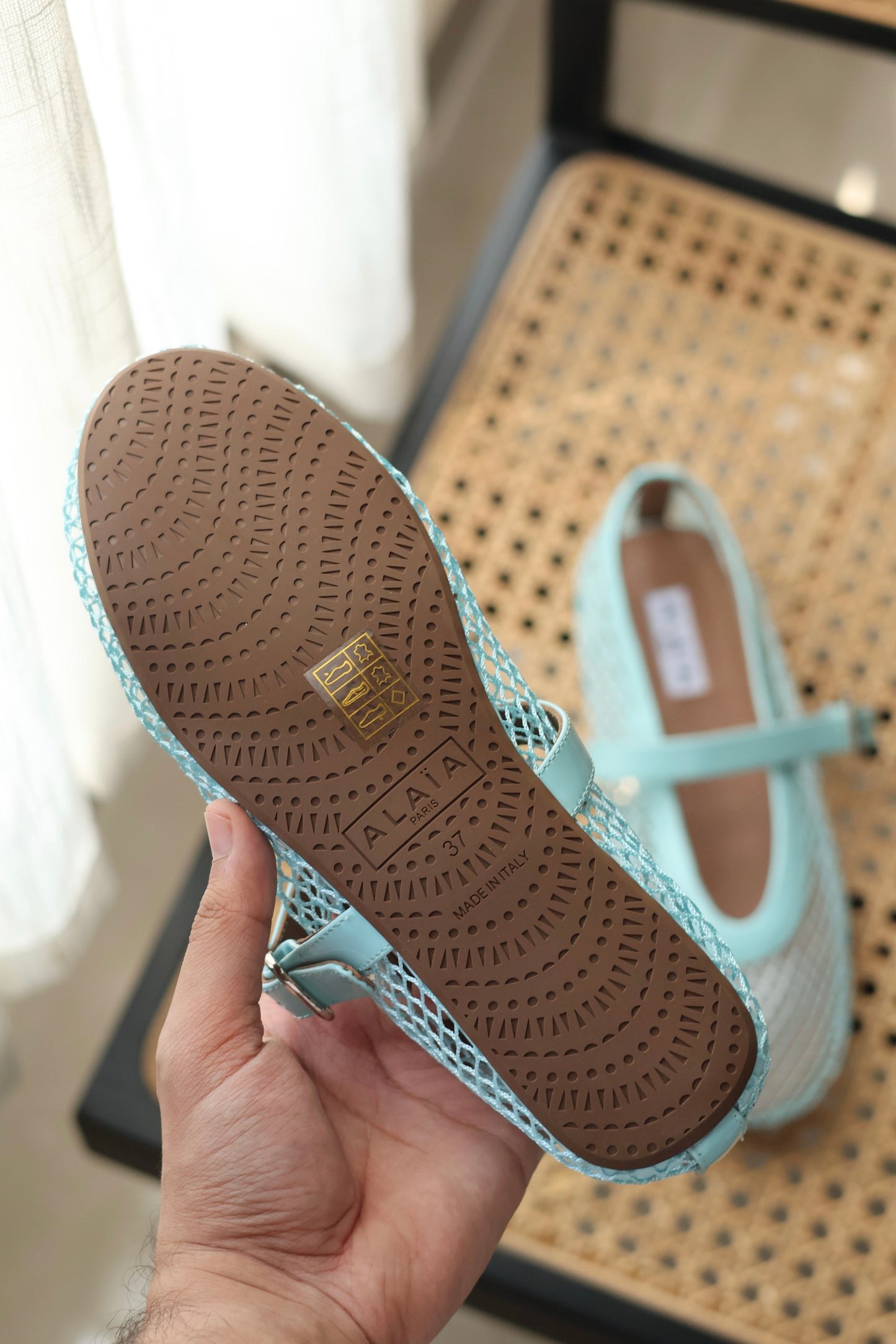 Mesh Ballets Flats