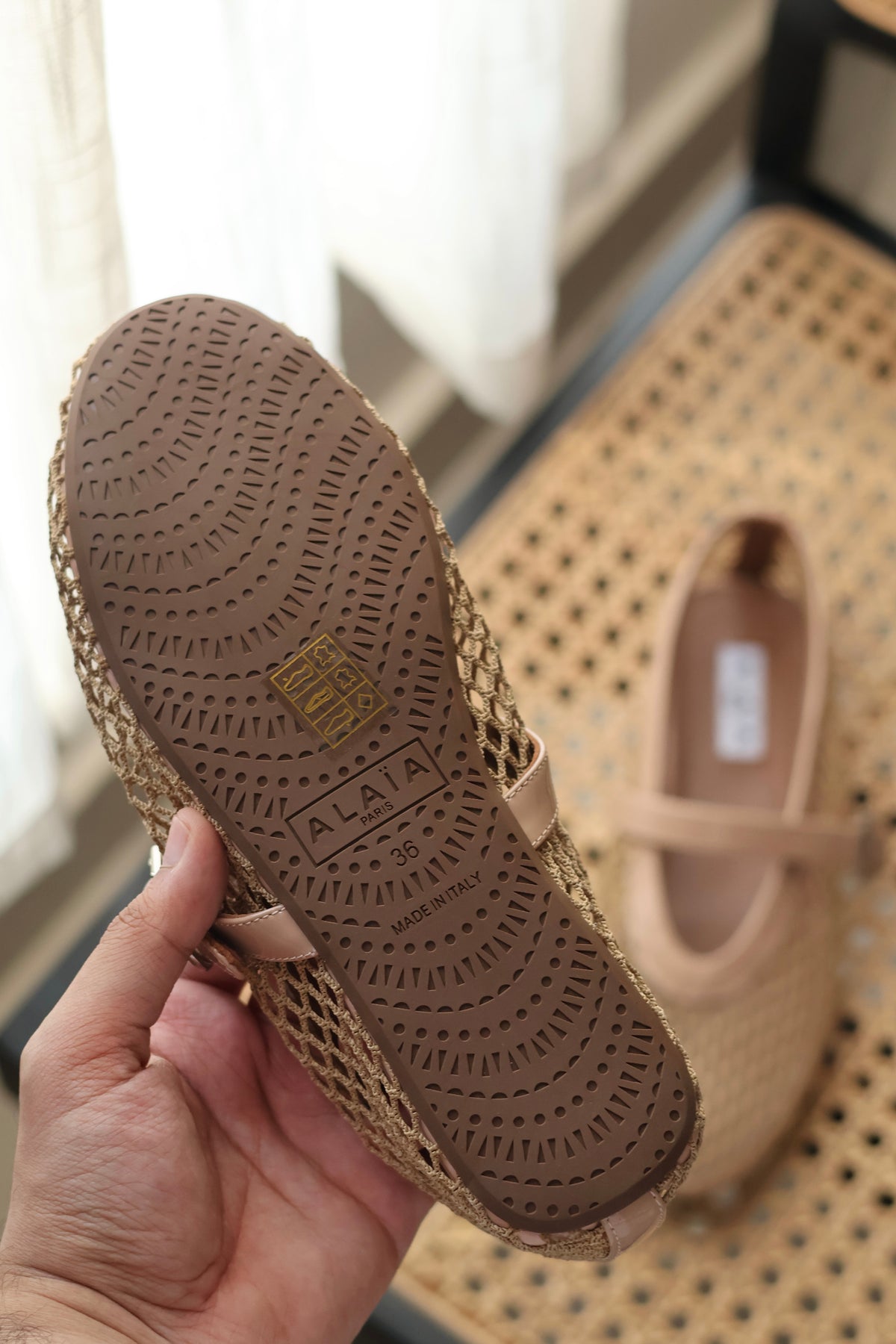 Mesh Ballets Flats