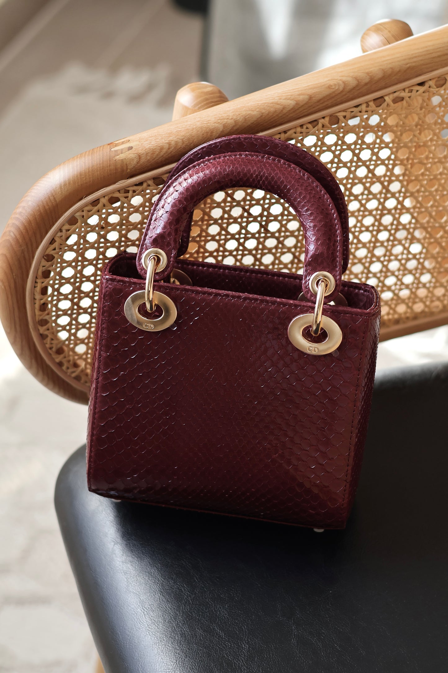 Python Lady Dior Mini