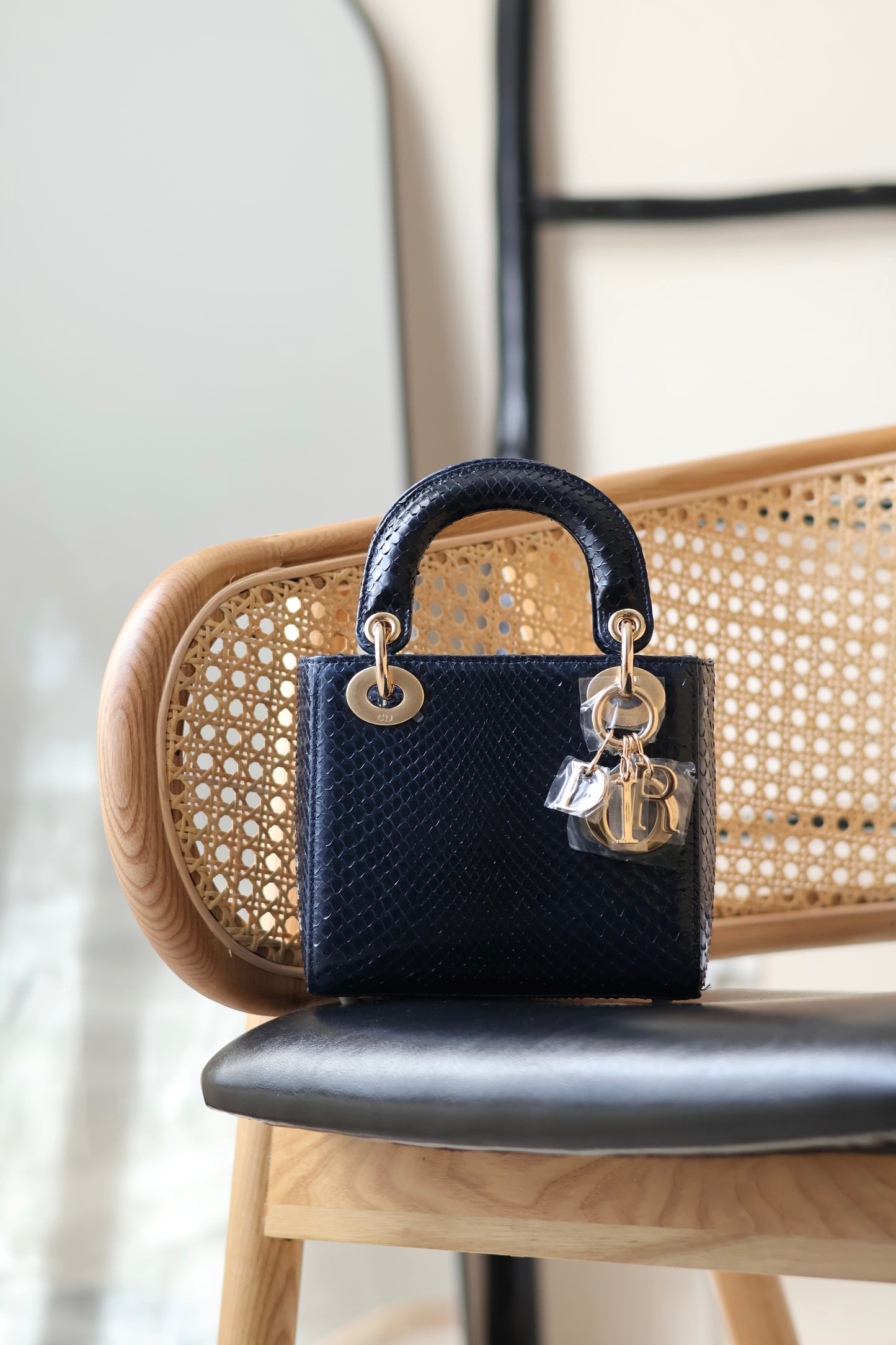 Python Lady Dior Mini