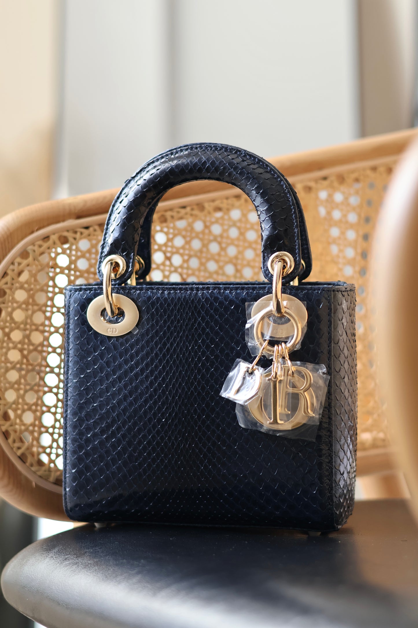 Python Lady Dior Mini