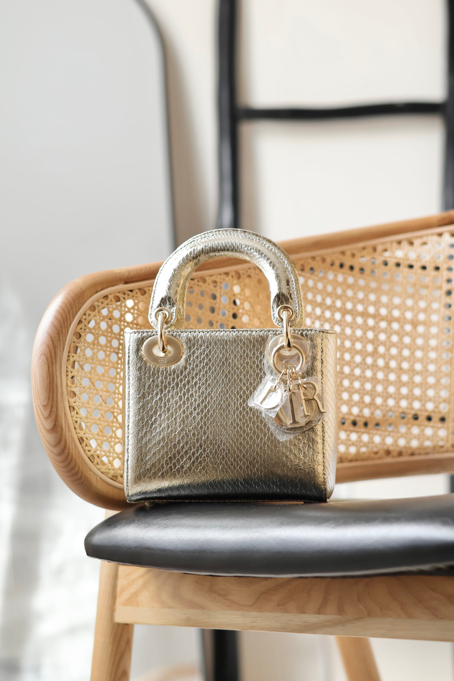 Python Lady Dior Mini