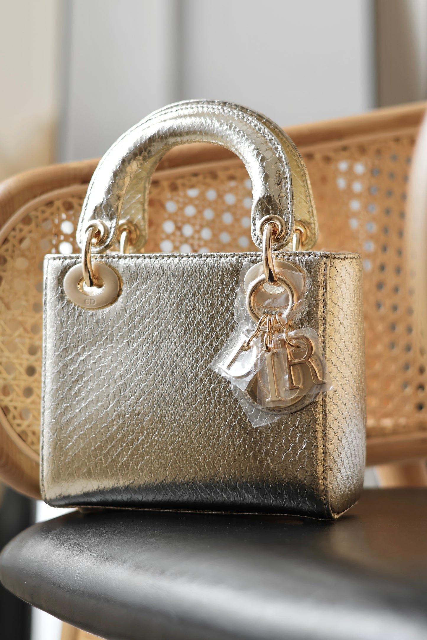 Python Lady Dior Mini