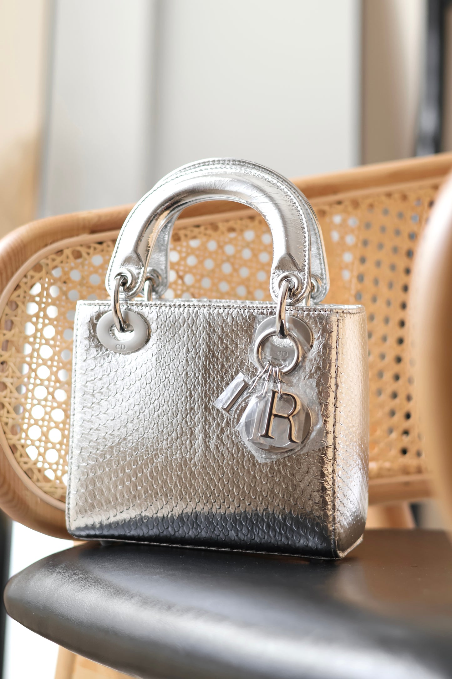 Python Lady Dior Mini