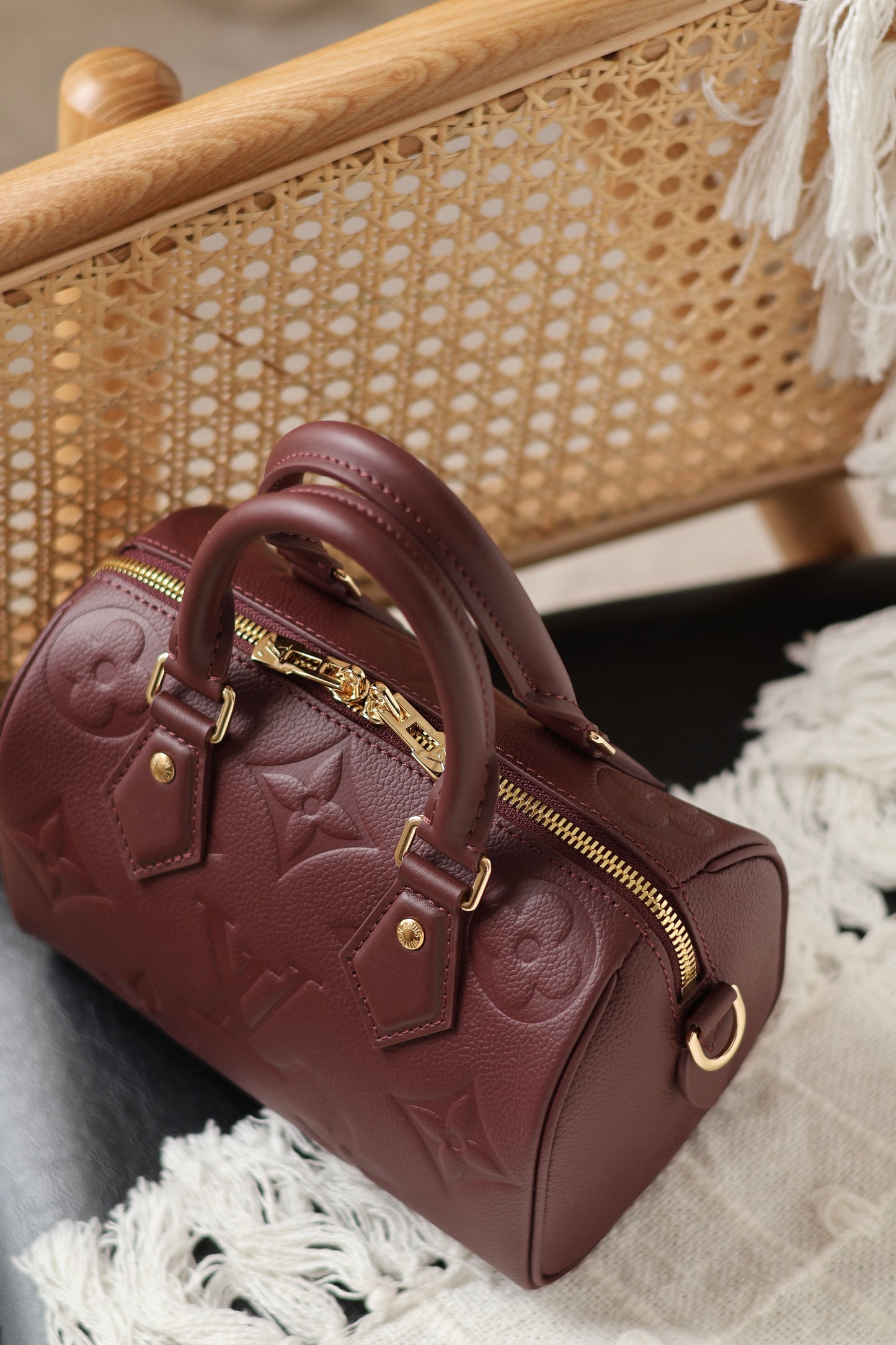 Speedy Bandoulière 20 Bag