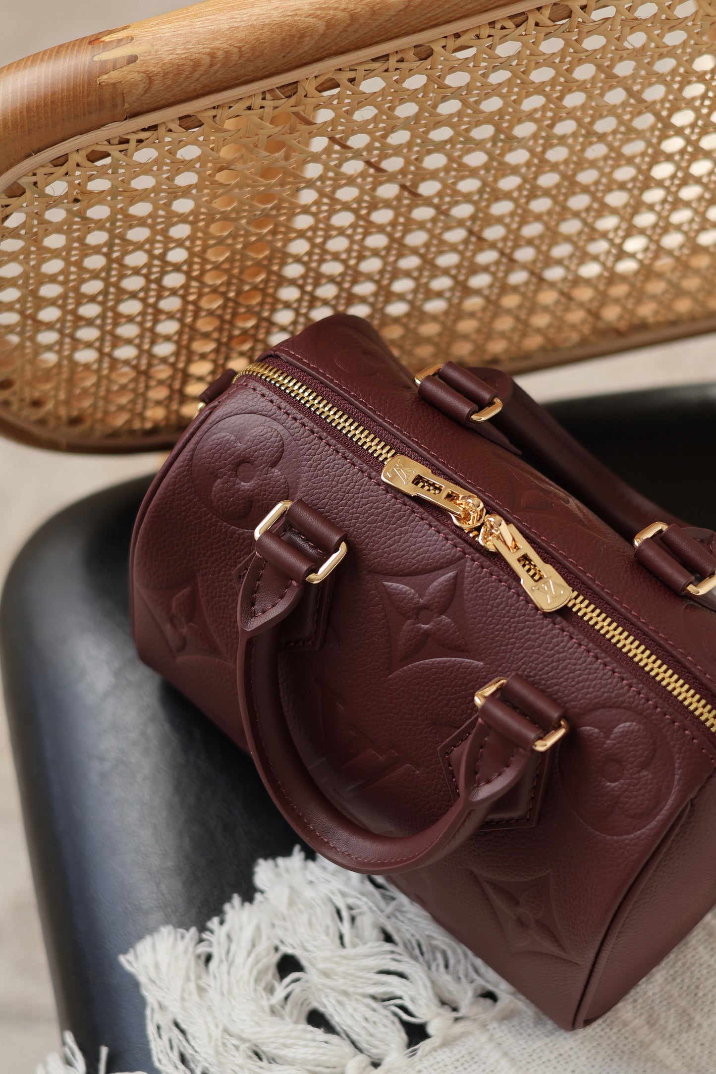 Speedy Bandoulière 20 Bag