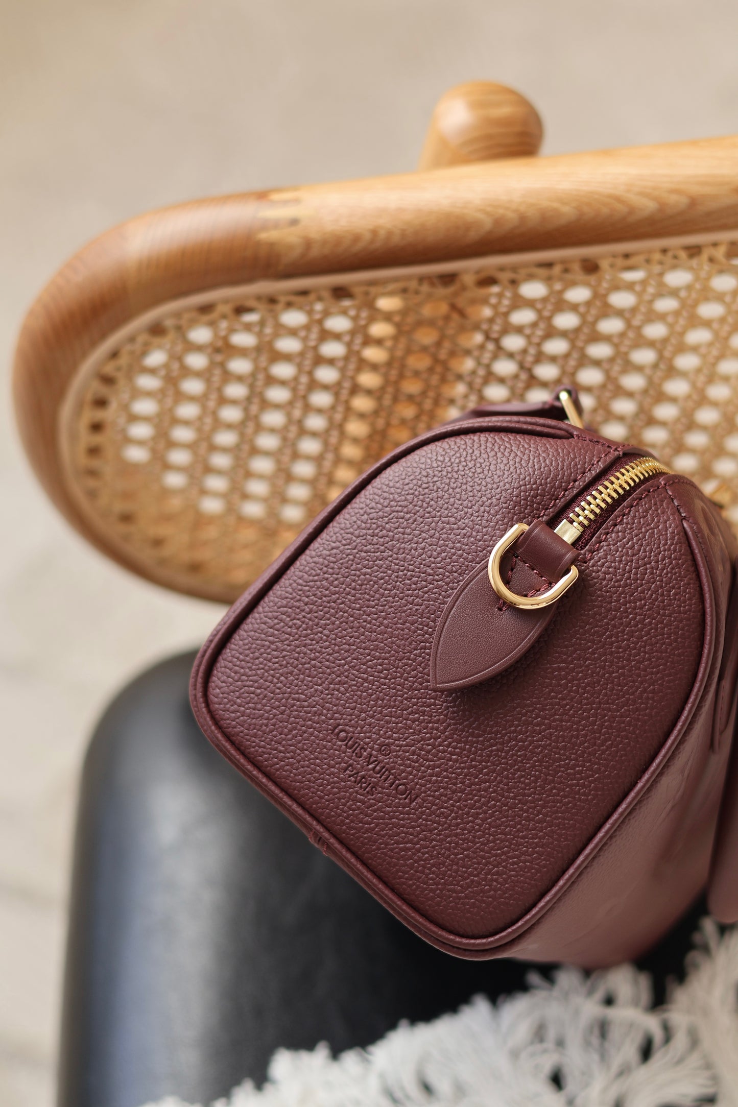 Speedy Bandoulière 20 Bag