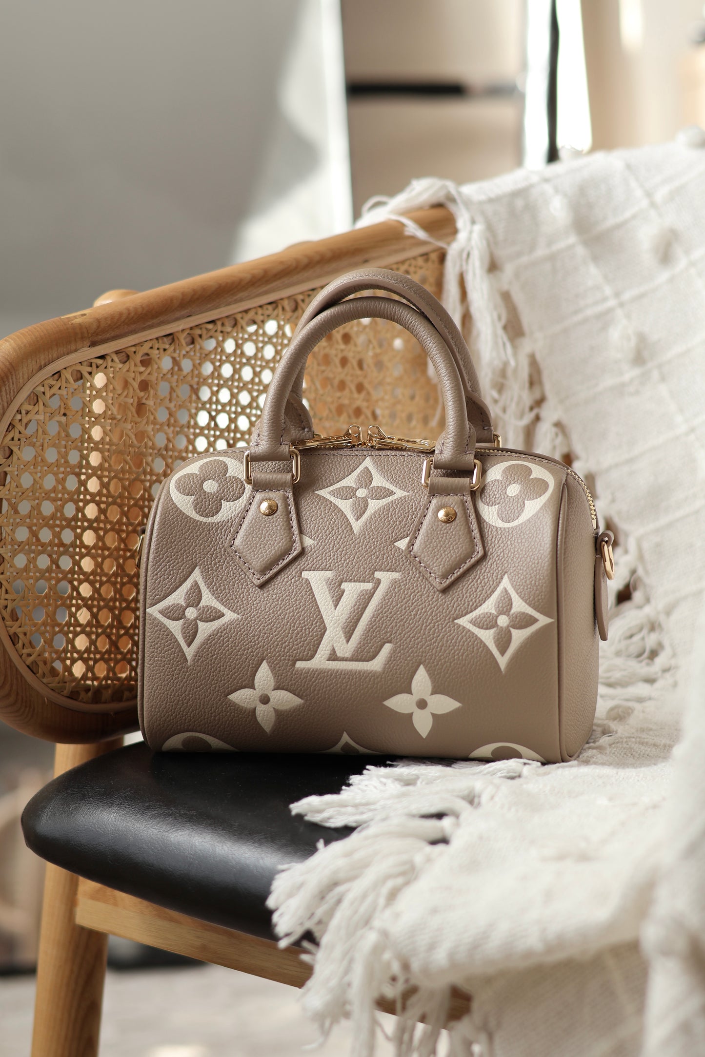 Speedy Bandoulière 20 Bag