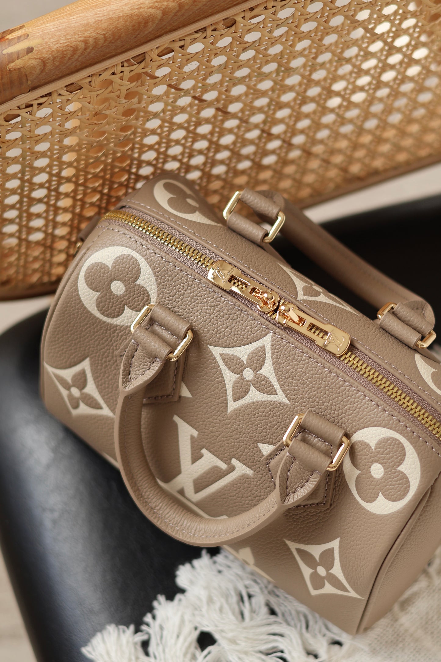 Speedy Bandoulière 20 Bag