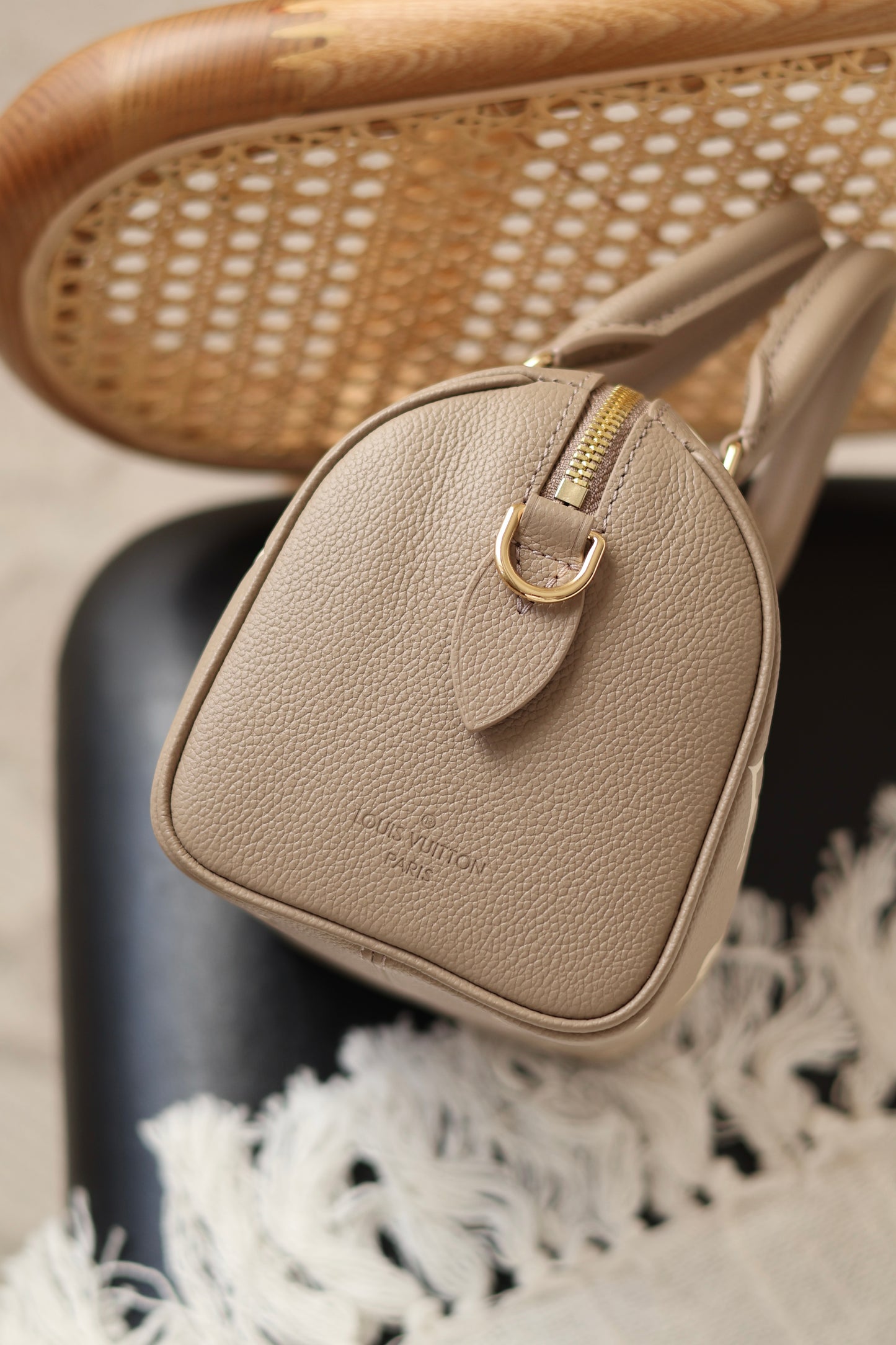 Speedy Bandoulière 20 Bag