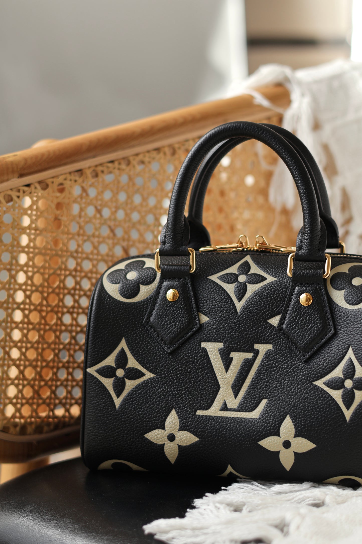 Speedy Bandoulière 20 Bag