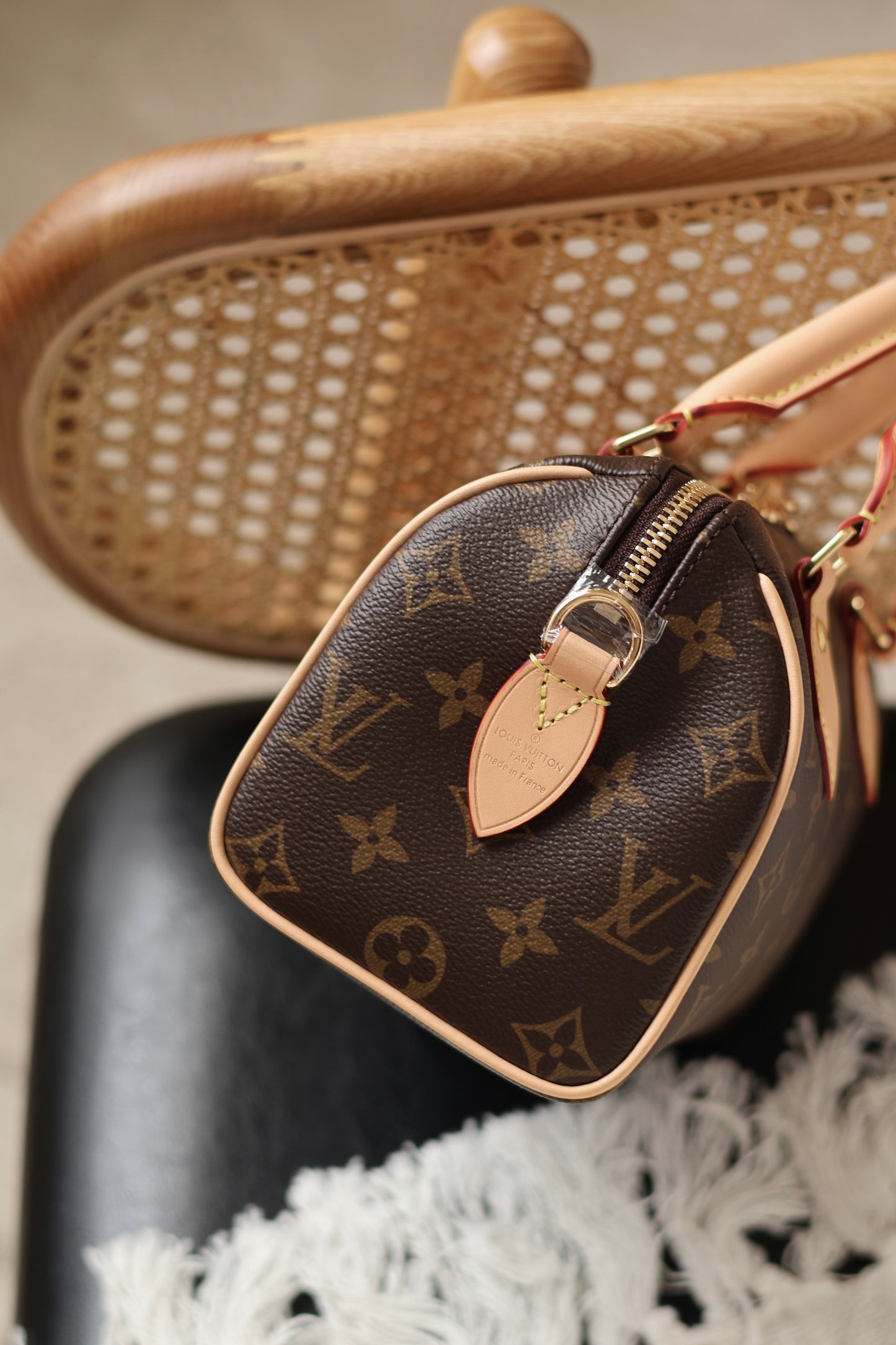 Speedy Bandoulière 20 Bag