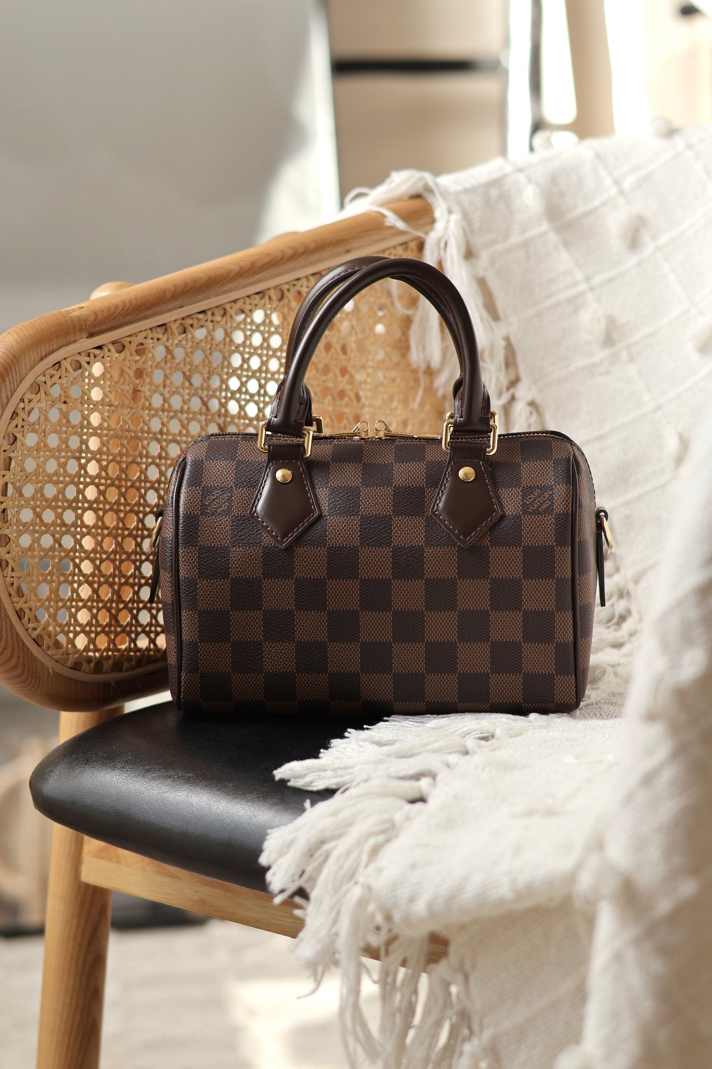 Speedy Bandoulière 20 Bag