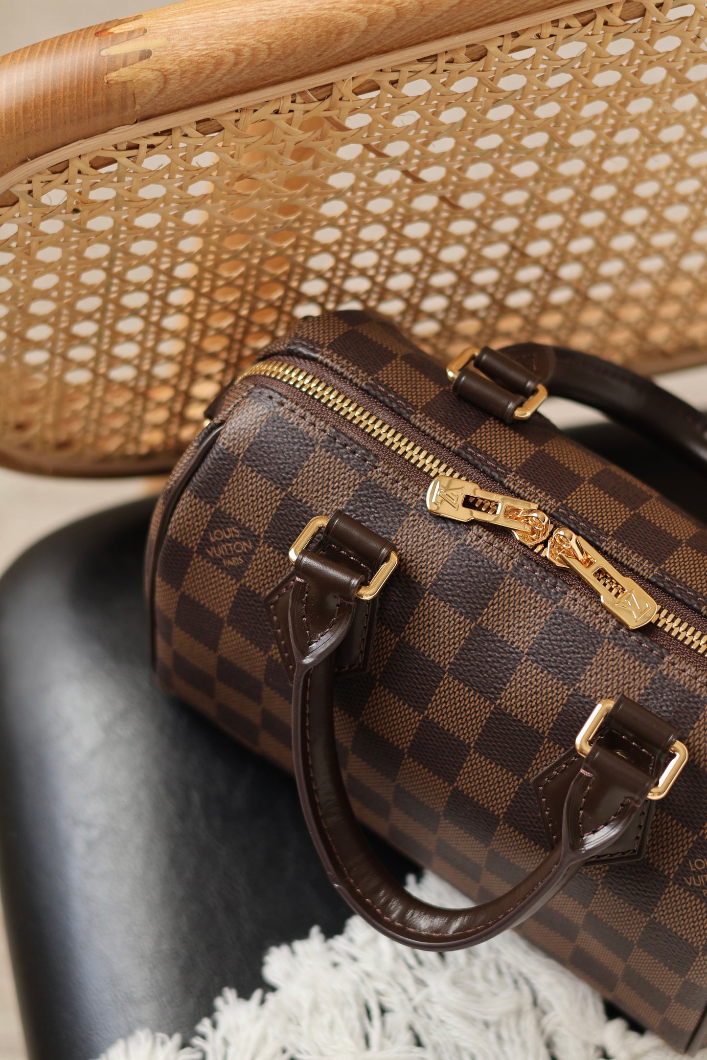 Speedy Bandoulière 20 Bag