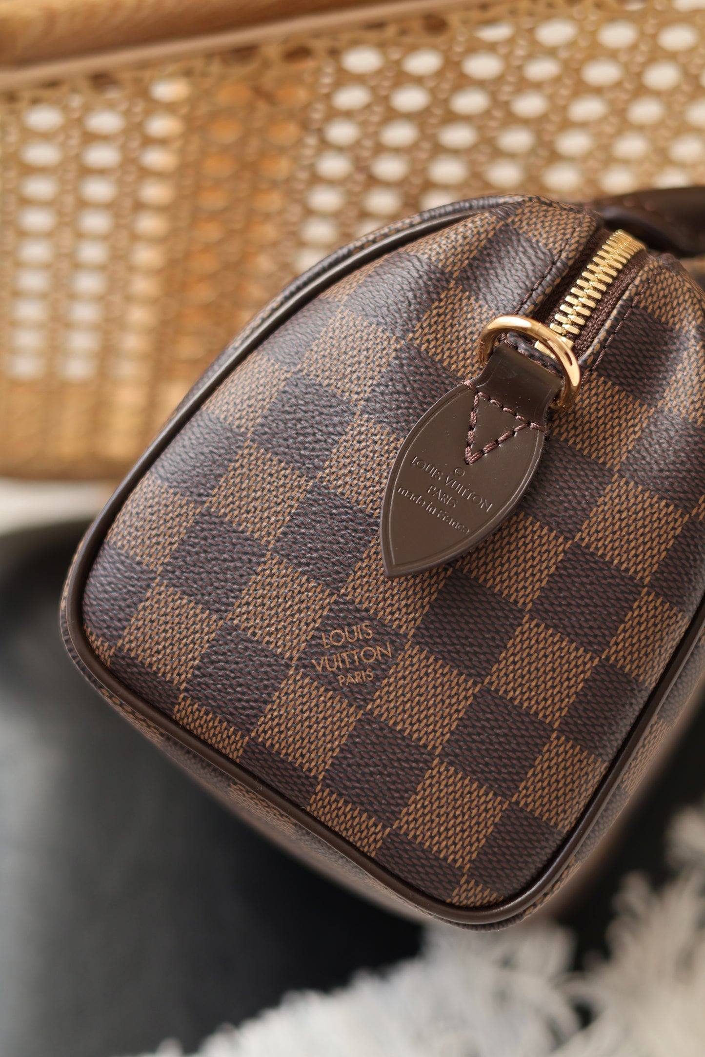 Speedy Bandoulière 20 Bag