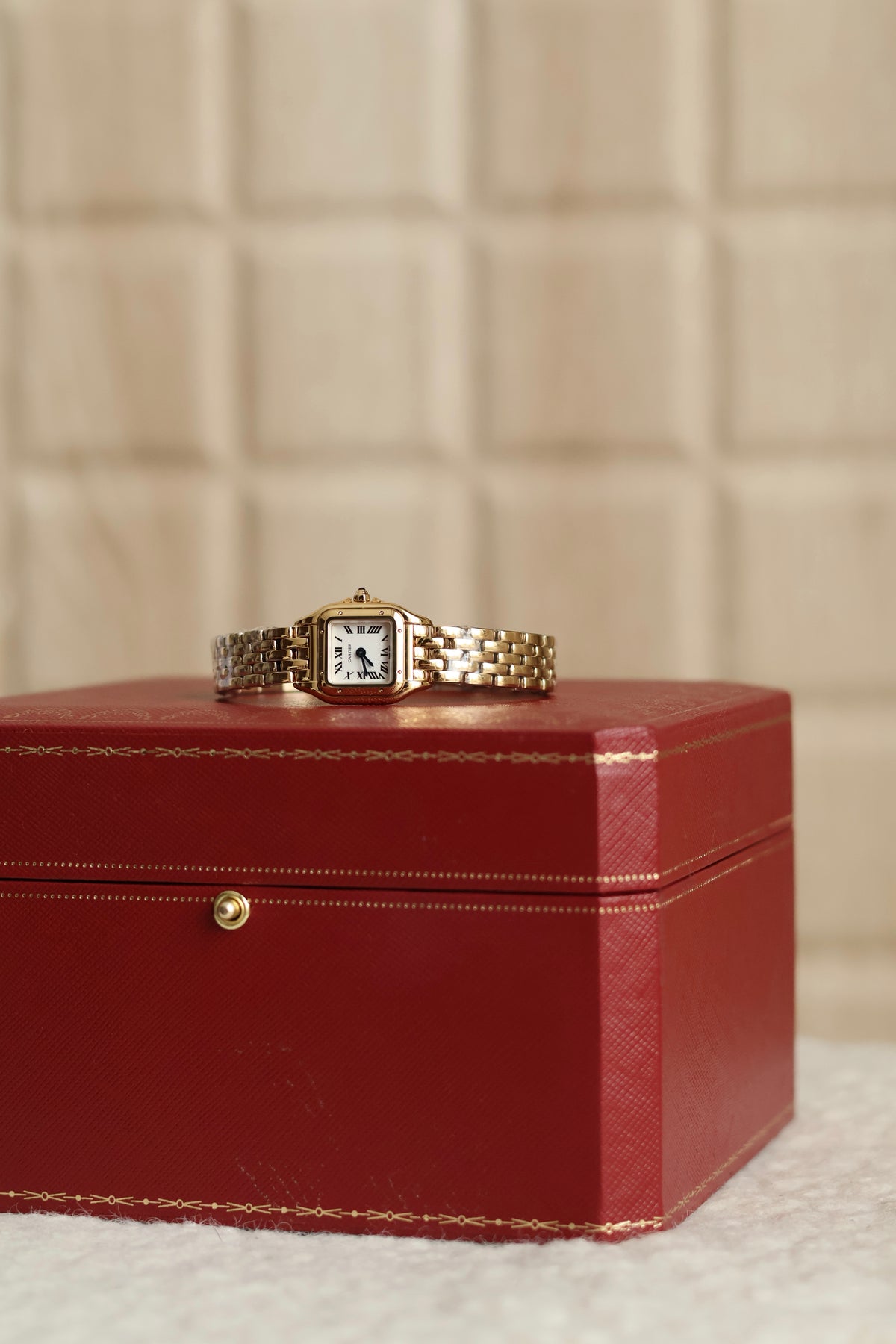 Panthère de Cartier Mini
